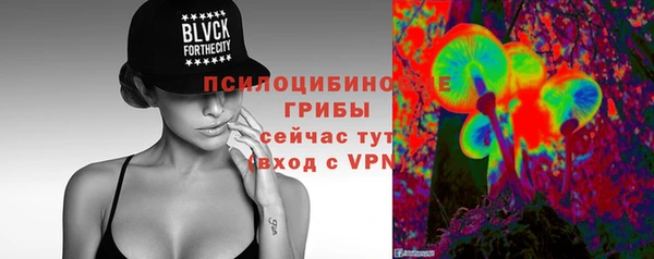 2c-b Инта