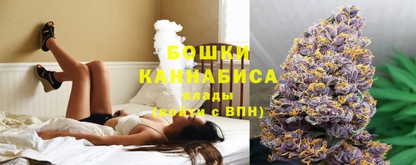 2c-b Инта