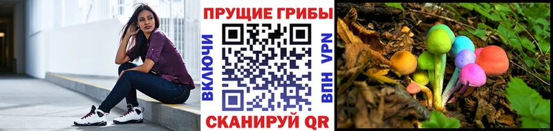 Купить закладки  Борисоглебск  Псилоцибиновые грибы Magic Shrooms 